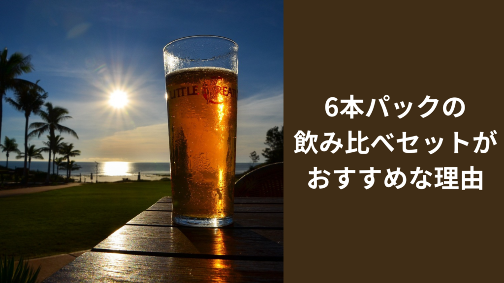 6本パックの飲み比べセットがおすすめな理由